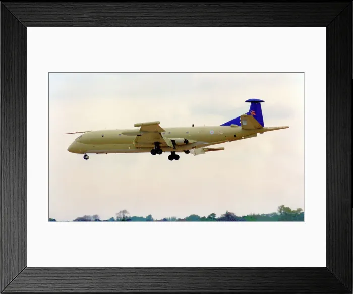 Framed Print : Hawker Siddeley Nimrod MR. 2P XV241 Framed Print : Hawker Siddeley Nimrod MR. 2P XV241