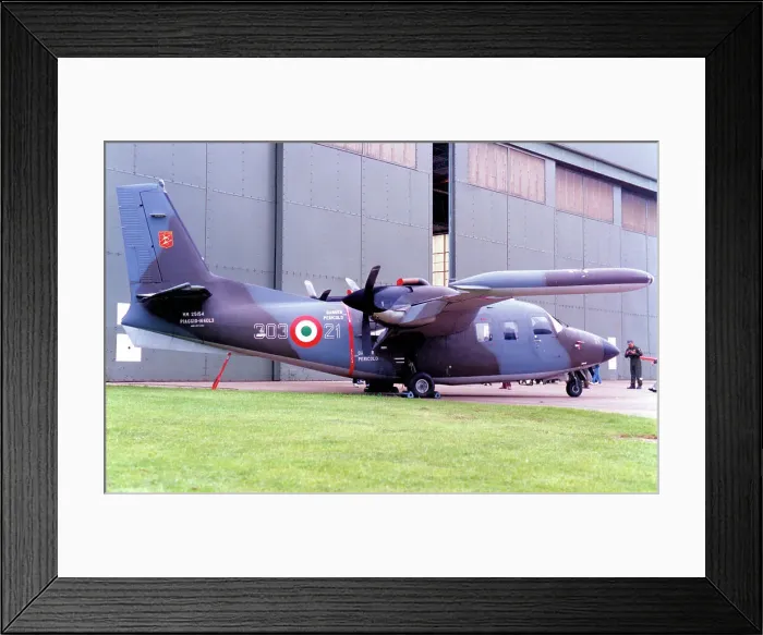 Framed Print : Piaggio P. 166DL-3 MM25154 / 303-21 Framed Print : Piaggio P. 166DL-3 MM25154 / 303-21