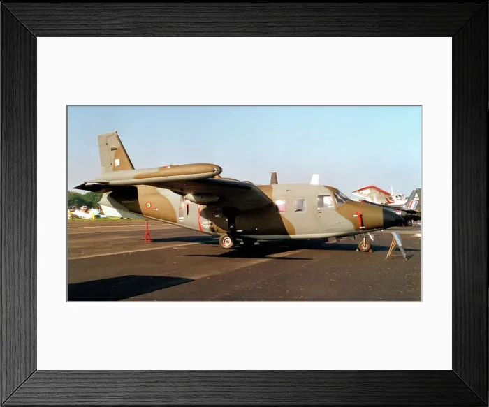 Framed Print : Piaggio P. 166DL-3 Framed Print : Piaggio P. 166DL-3