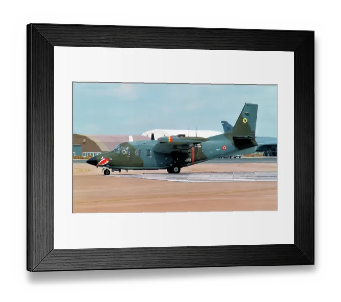 Framed Print : Piaggio P. 166DL-3 Framed Print : Piaggio P. 166DL-3