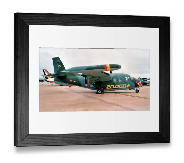 Framed Print : Piaggio P. 166DL-3APH MM25157 Framed Print : Piaggio P. 166DL-3APH MM25157