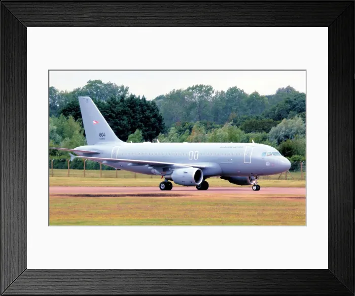 Framed Print : Airbus A319-112 604 Framed Print : Airbus A319-112 604