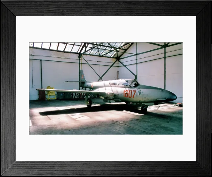 Framed Print : PZL-Mielec TS-11 Iskra 1607 Framed Print : PZL-Mielec TS-11 Iskra 1607