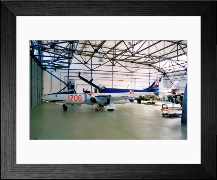 Framed Print : PZL-Mielec TS-11 Iskra bis DF 1706 Framed Print : PZL-Mielec TS-11 Iskra bis DF 1706