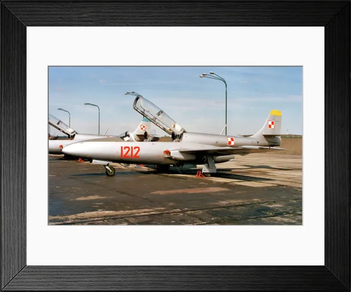 Framed Print : PZL-Mielec TS-11 Iskra bis D 1212 Framed Print : PZL-Mielec TS-11 Iskra bis D 1212