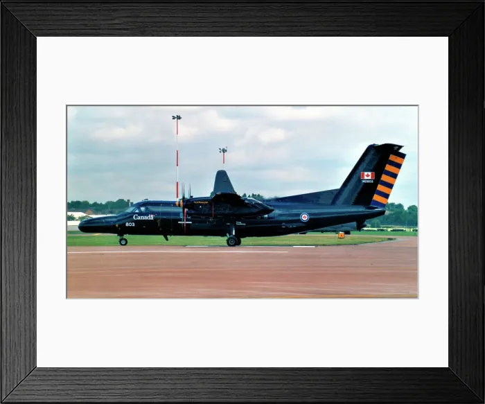 Framed Print : de Havilland Canada CT-142 142803 Framed Print : de Havilland Canada CT-142 142803