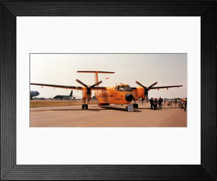 Framed Print : de Havilland Canada CC-115 Buffalo Framed Print : de Havilland Canada CC-115 Buffalo