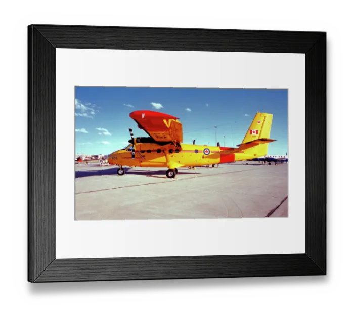 Framed Print : de Havilland Canada CC-138 Twin Otter 13803 Framed Print : de Havilland Canada CC-138 Twin Otter 13803