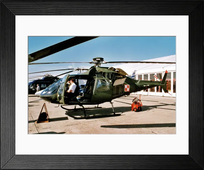 Framed Print : PZL-Swidnik SW-4 Puszczyk 6616 Framed Print : PZL-Swidnik SW-4 Puszczyk 6616