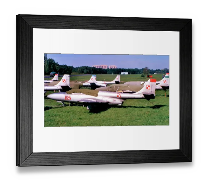 Framed Print : PZL-Mielec TS-11bis D Iskra Framed Print : PZL-Mielec TS-11bis D Iskra