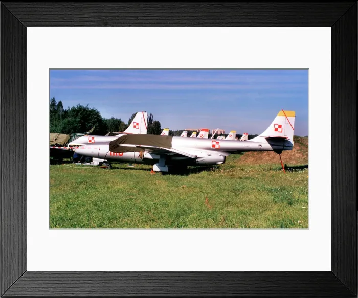 Framed Print : PZL-Mielec TS-11 Iskra Framed Print : PZL-Mielec TS-11 Iskra