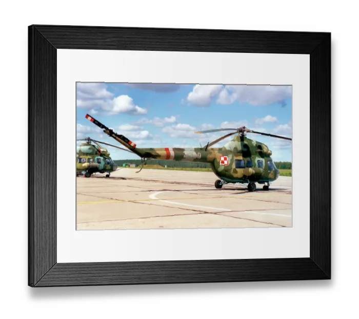 Framed Print : PZL-Swidnik 2 4509 Framed Print : PZL-Swidnik 2 4509