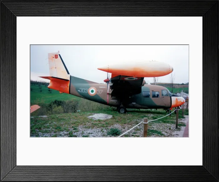 Framed Print : Piaggio P. 166 MM61913 - 303-37 Framed Print : Piaggio P. 166 MM61913 - 303-37