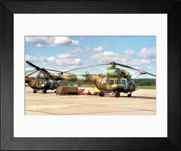 Framed Print : PZL-Swidnik 2 0615 Framed Print : PZL-Swidnik 2 0615
