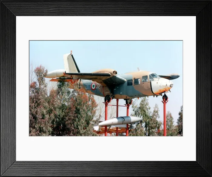 Framed Print : Piaggio P-166M MM61876 - 303-32 Framed Print : Piaggio P-166M MM61876 - 303-32