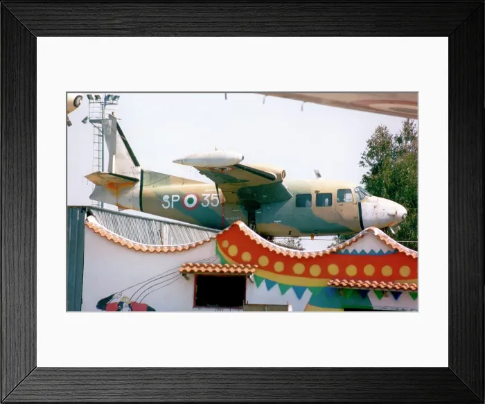 Framed Print : Piaggio P-166M MM61878 - SP-35 Framed Print : Piaggio P-166M MM61878 - SP-35