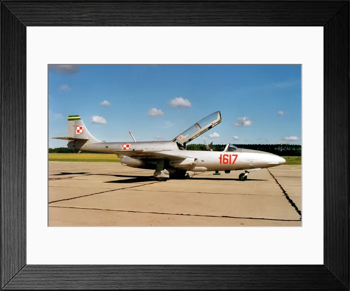 Framed Print : PZL-Mielec TS-11 Iskra 1617 Framed Print : PZL-Mielec TS-11 Iskra 1617
