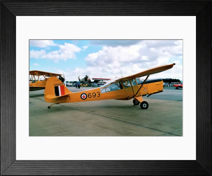 Framed Print : Auster J / 1N Alpha G-BLPG - 16693 Framed Print : Auster J / 1N Alpha G-BLPG - 16693