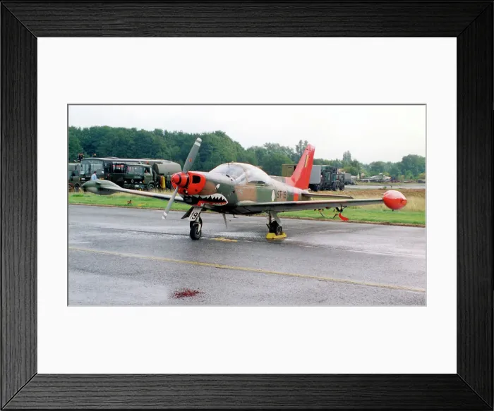 Framed Print : SIAI-Marchetti SF. 260MB ST-19 Framed Print : SIAI-Marchetti SF. 260MB ST-19