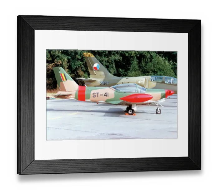 Framed Print : SIAI-Marchetti SF. 260MB ST-41 Framed Print : SIAI-Marchetti SF. 260MB ST-41