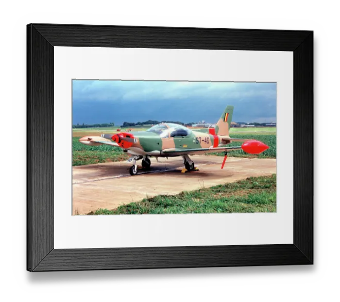 Framed Print : SIAI-Marchetti SF. 260MB ST-40 Framed Print : SIAI-Marchetti SF. 260MB ST-40