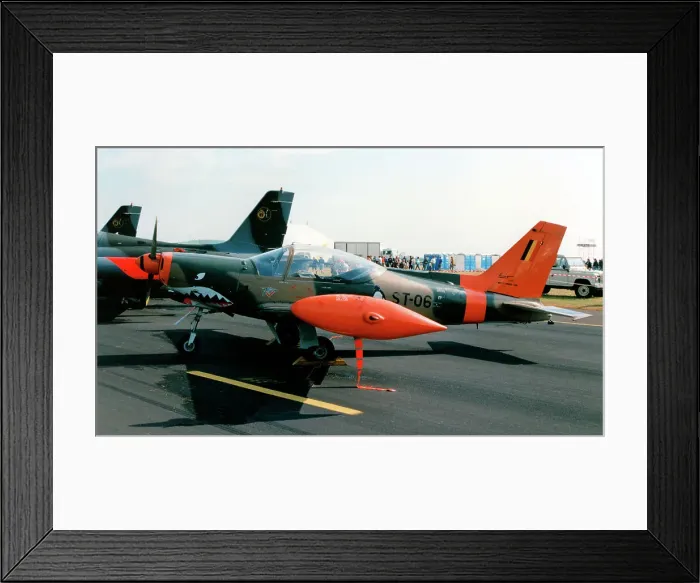 Framed Print : SIAI-Marchetti SF. 260MB ST-06 Framed Print : SIAI-Marchetti SF. 260MB ST-06
