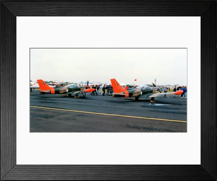 Framed Print : SIAI-Marchetti SF. 260MB ST-34 and ST-06 Framed Print : SIAI-Marchetti SF. 260MB ST-34 and ST-06