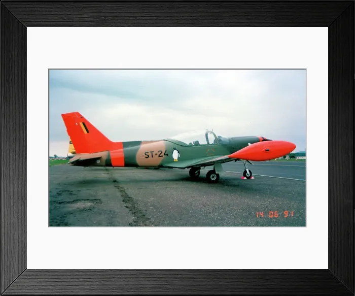 Framed Print : SIAI-Marchetti SF. 260MB ST-24 Framed Print : SIAI-Marchetti SF. 260MB ST-24