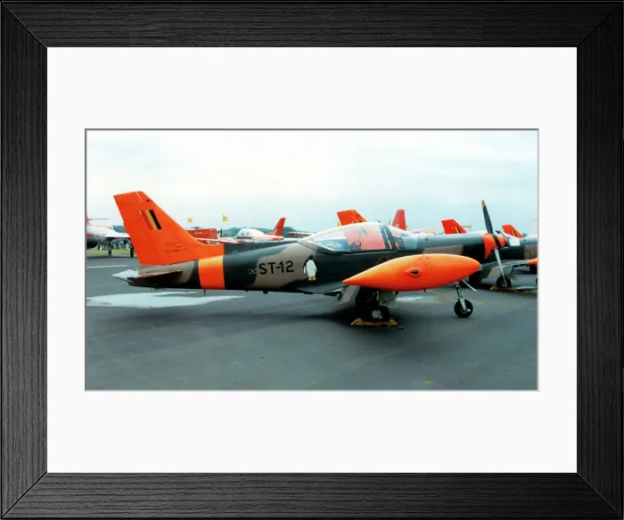 Framed Print : SIAI-Marchetti SF. 260MB ST-12 Framed Print : SIAI-Marchetti SF. 260MB ST-12