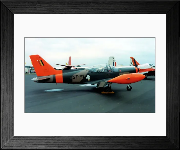 Framed Print : SIAI-Marchetti SF. 260MB ST-21 Framed Print : SIAI-Marchetti SF. 260MB ST-21