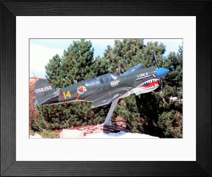 Framed Print : Curtiss P-40E replica 1356255 Framed Print : Curtiss P-40E replica 1356255