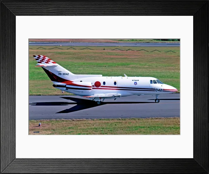 Framed Print : British Aerospace U-125 39-3042 Framed Print : British Aerospace U-125 39-3042
