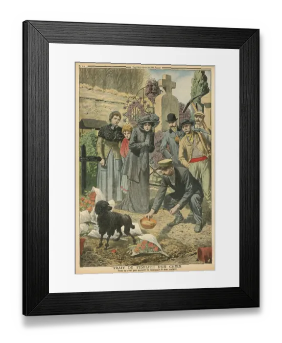 Framed Print : Dog fatihful to dead master Framed Print : Dog fatihful to dead master