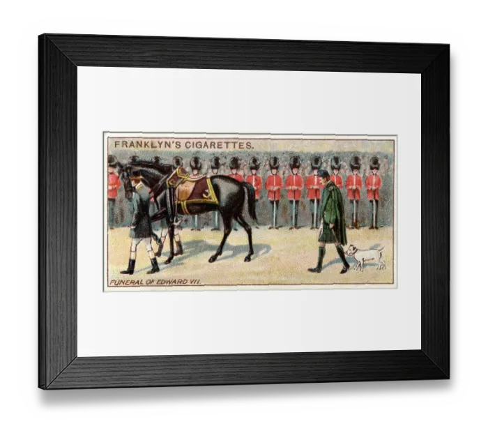 Framed Print : Funeral of Edward VII, with favourite dog Framed Print : Funeral of Edward VII, with favourite dog