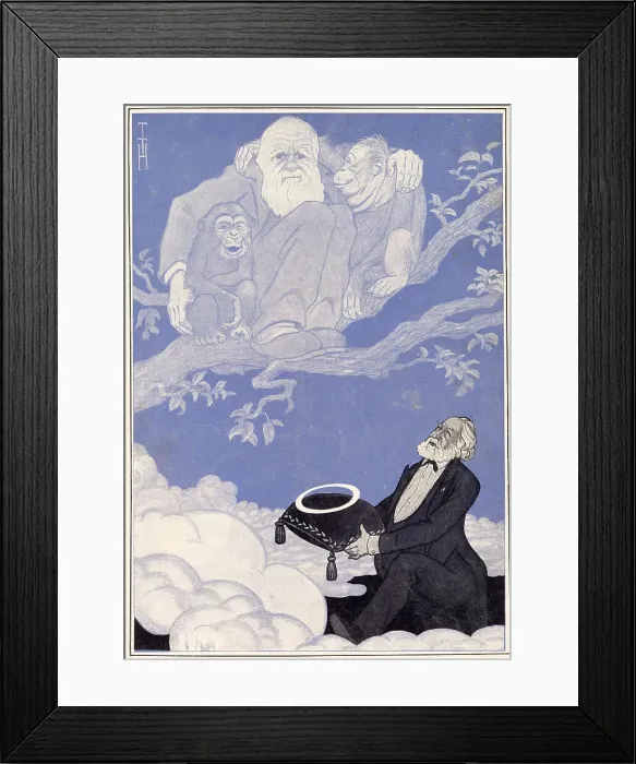 Framed Print : Charles Darwin (1809 - 1882), receiving birthday homage (after his death) from the German biologist Ernst Haeckel. Date: 1909 Framed Print : Charles Darwin (1809 - 1882), receiving birthday homage (after his death) from the German biologist Ernst Haeckel. Date: 1909