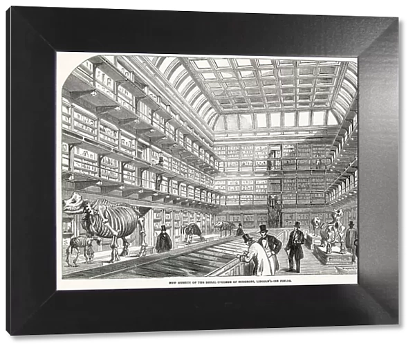 Interior of the new museum, Royal College of Surgeons, located at Lincoln's Inn Fields in London. Date: 1854