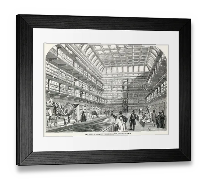Framed Print : Interior of the new museum, Royal College of Surgeons, located at Lincoln's Inn Fields in London. Date: 1854 Framed Print : Interior of the new museum, Royal College of Surgeons, located at Lincoln's Inn Fields in London. Date: 1854