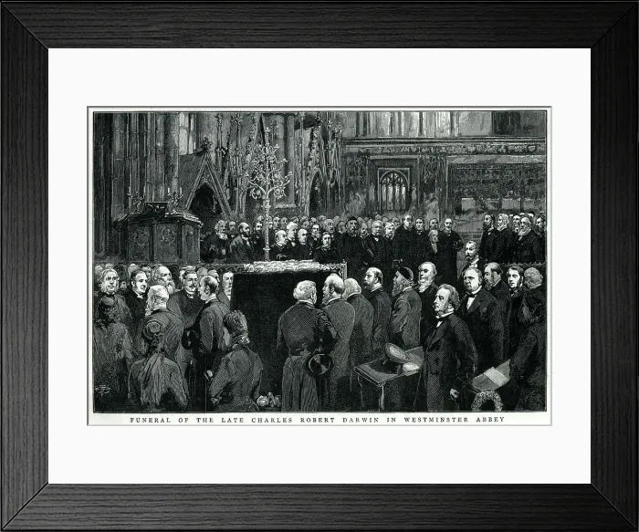 Framed Print : Charles Darwin's funeral 1882 Framed Print : Charles Darwin's funeral 1882