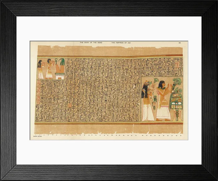 Framed Print : BOOK OF THE DEAD / 29 Framed Print : BOOK OF THE DEAD / 29