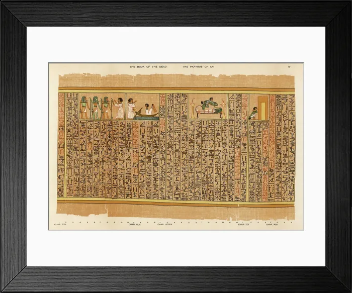 Framed Print : BOOK OF THE DEAD / 17 Framed Print : BOOK OF THE DEAD / 17