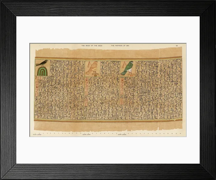 Framed Print : BOOK OF THE DEAD / 25 Framed Print : BOOK OF THE DEAD / 25