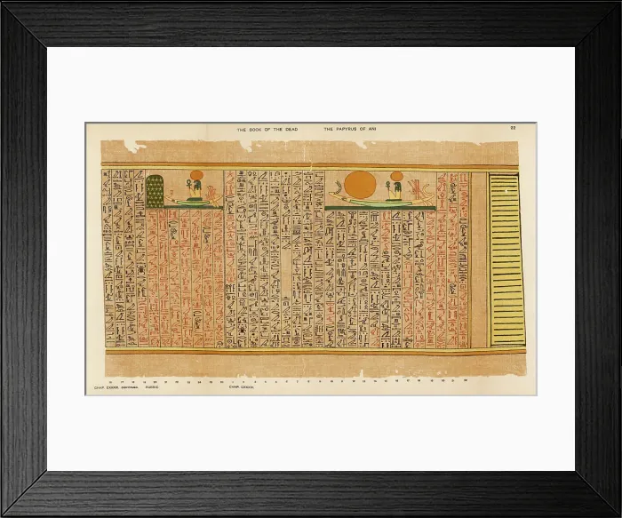 Framed Print : BOOK OF THE DEAD / 22 Framed Print : BOOK OF THE DEAD / 22