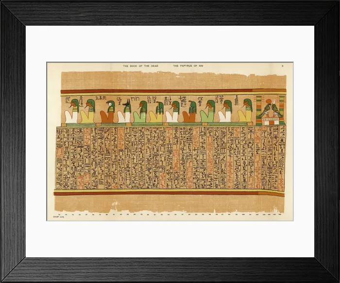 Framed Print : BOOK OF THE DEAD / PLATE 9 Framed Print : BOOK OF THE DEAD / PLATE 9