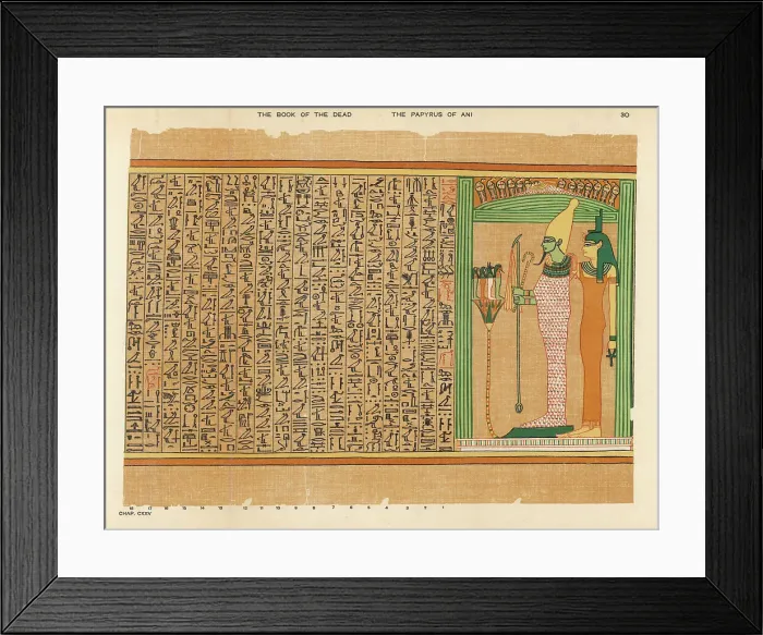 Framed Print : BOOK OF THE DEAD / 30 Framed Print : BOOK OF THE DEAD / 30