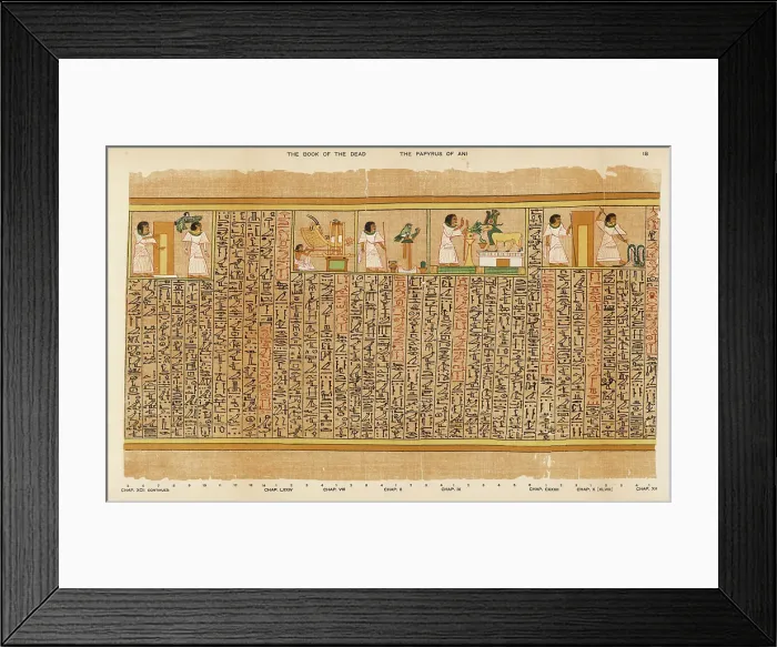 Framed Print : BOOK OF THE DEAD / 18 Framed Print : BOOK OF THE DEAD / 18