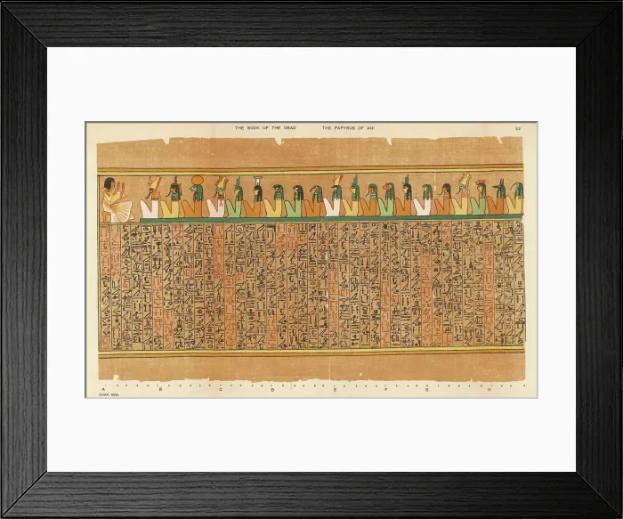 Framed Print : BOOK OF THE DEAD / 23 Framed Print : BOOK OF THE DEAD / 23