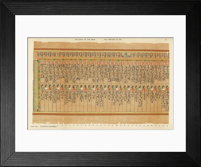 Framed Print : BOOK OF THE DEAD / 31 Framed Print : BOOK OF THE DEAD / 31