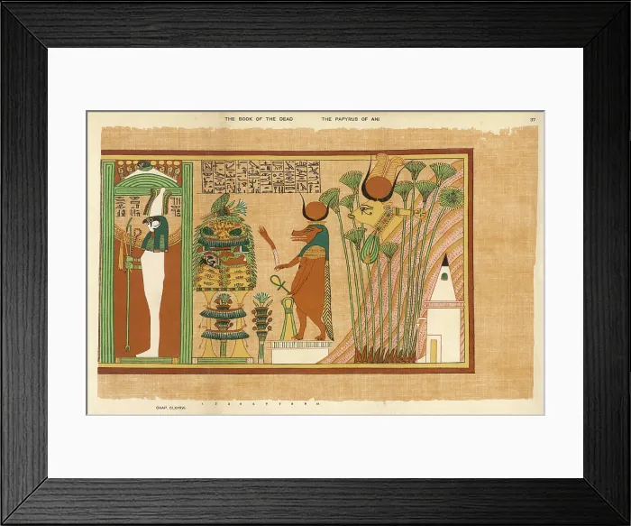 Framed Print : BOOK OF THE DEAD / 37 Framed Print : BOOK OF THE DEAD / 37