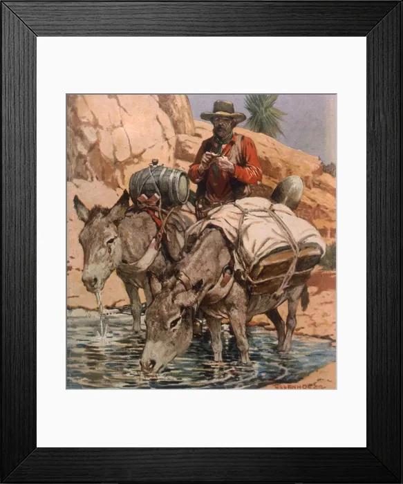 Framed Print : A prospector - illustration to The Trail of Gold [W C Tuttle]
