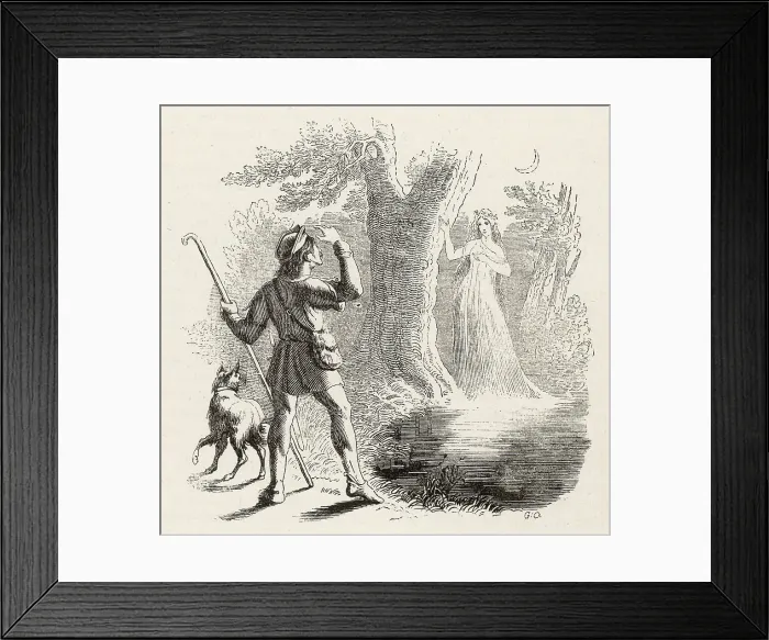 Framed Print : FOLKLORE / WILI Framed Print : FOLKLORE / WILI